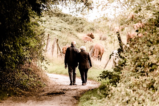 牧場を歩く老夫婦